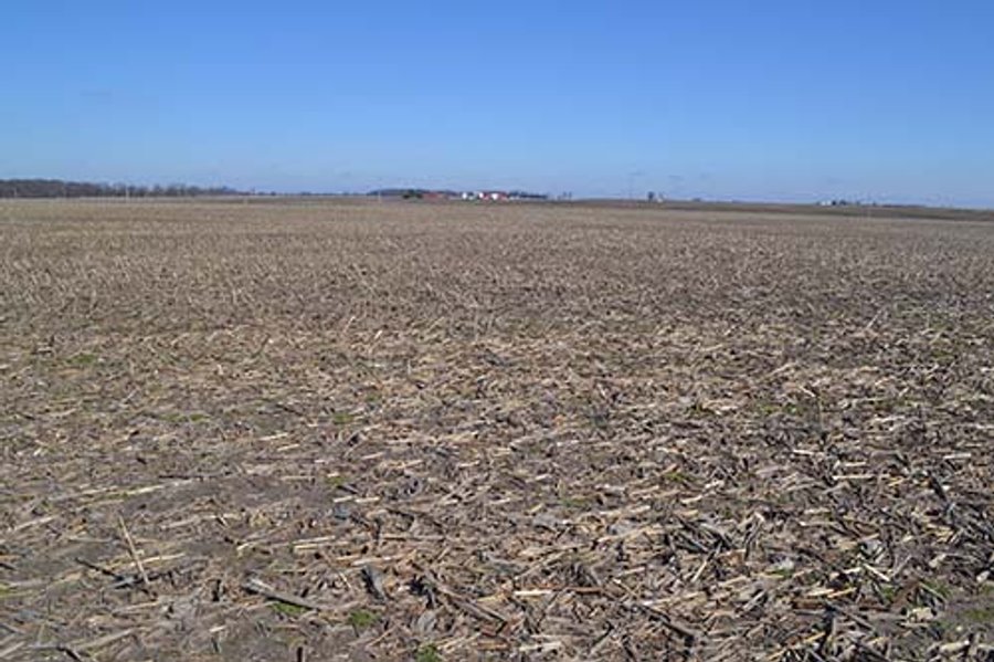 LAND AUCTION - 137+/- ACRES OFFERED IN 1 TRACT IN JASPER COUNTY, INDIANA